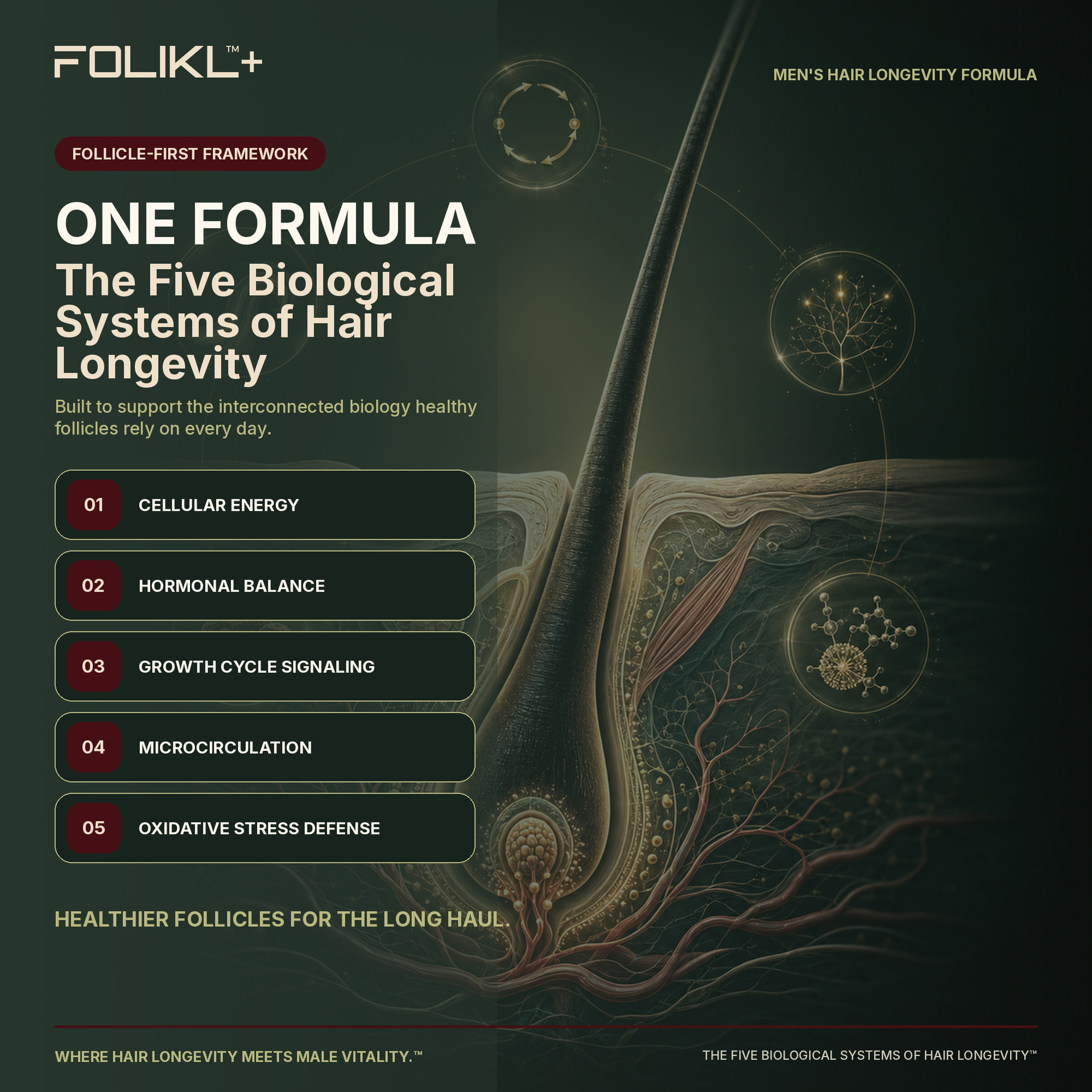 FOLIKL Launches Follicle-First Hair Longevity Formula Engineered for Men / Source: FOLIKL (EZ Newswire)