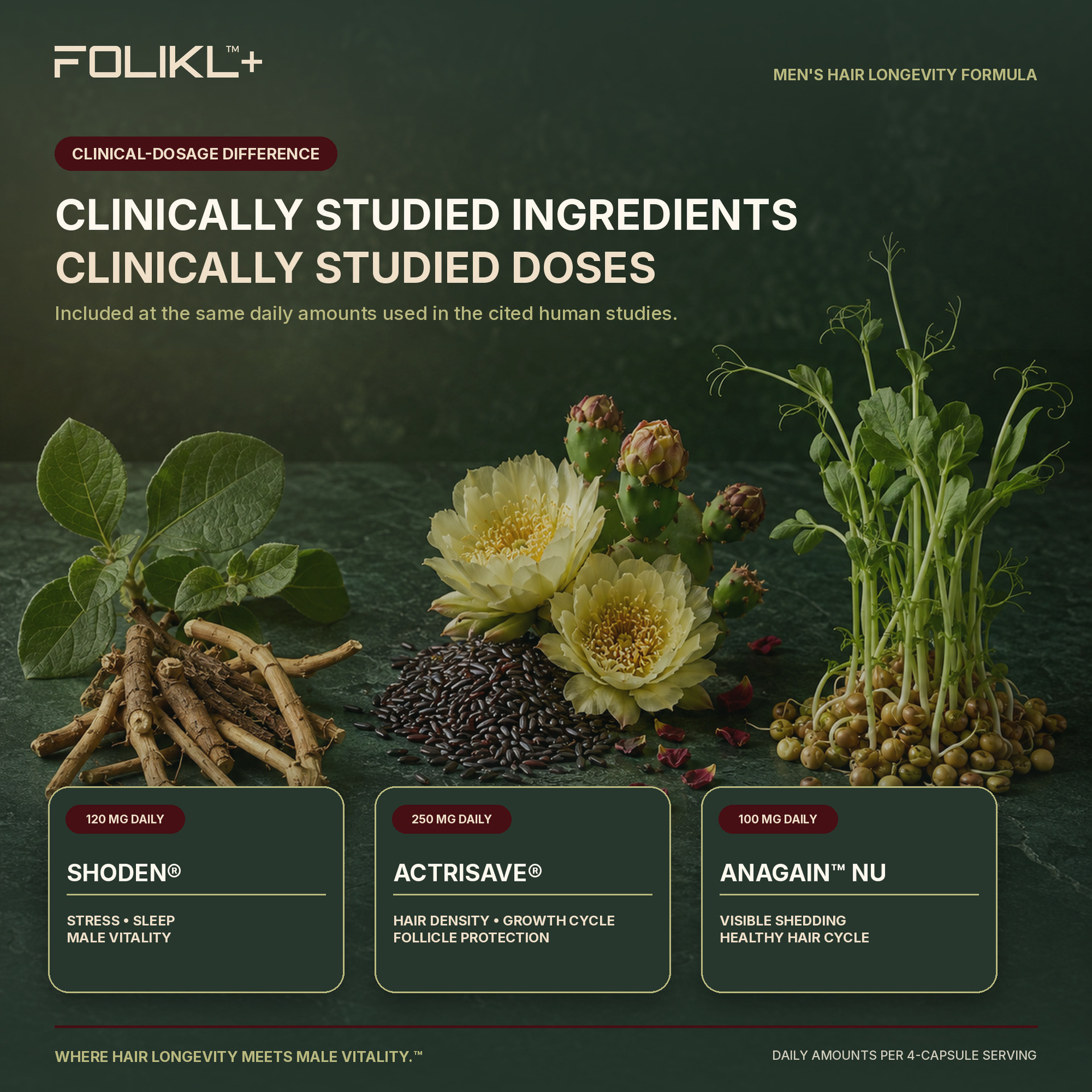 FOLIKL Launches Follicle-First Hair Longevity Formula Engineered for Men / Source: FOLIKL (EZ Newswire)
