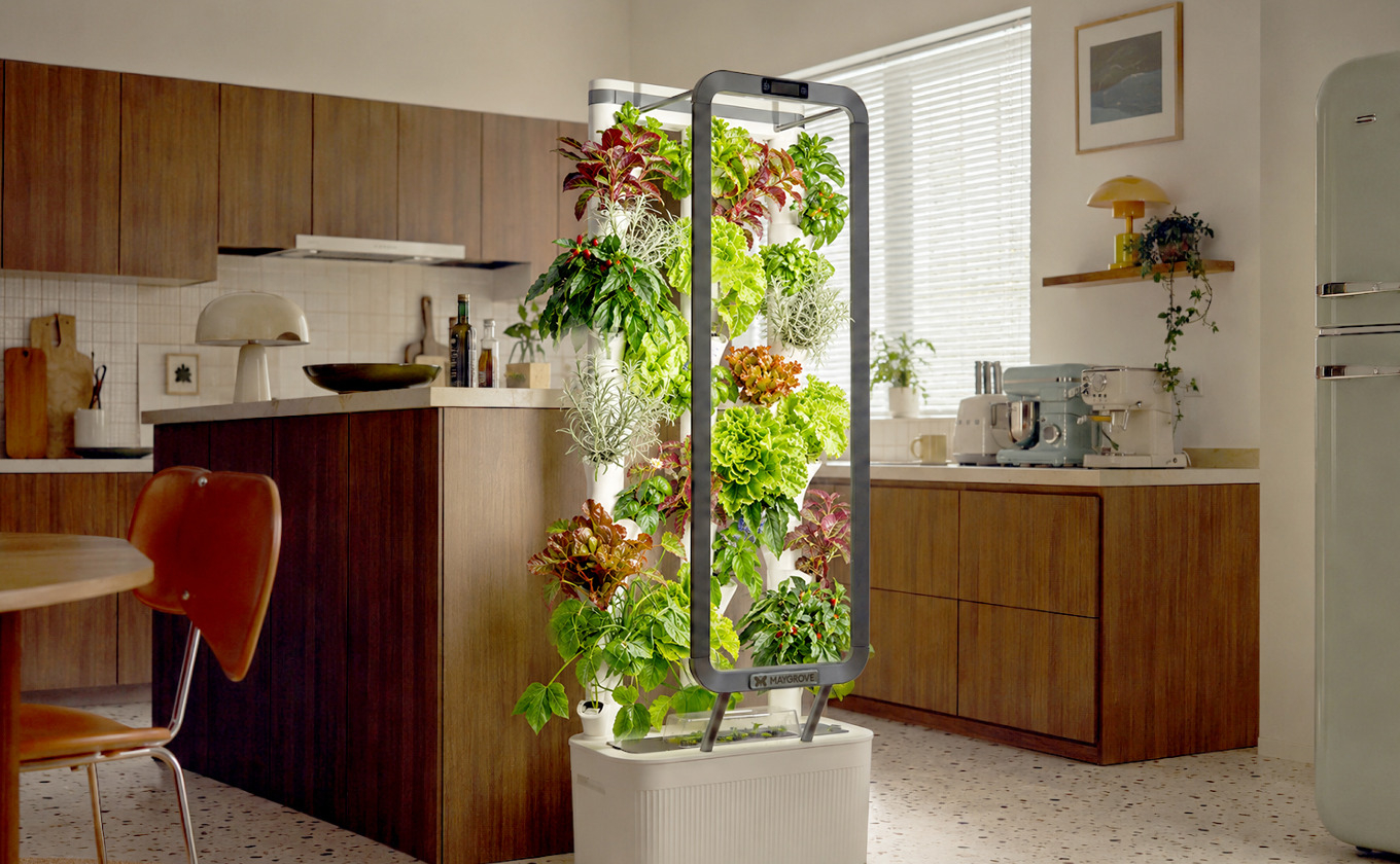 Maygrove AI Growbot Brings a Smarter, Easier Way to Grow Fresh Plants at Home / Source: Maygrove (EZ Newswire)