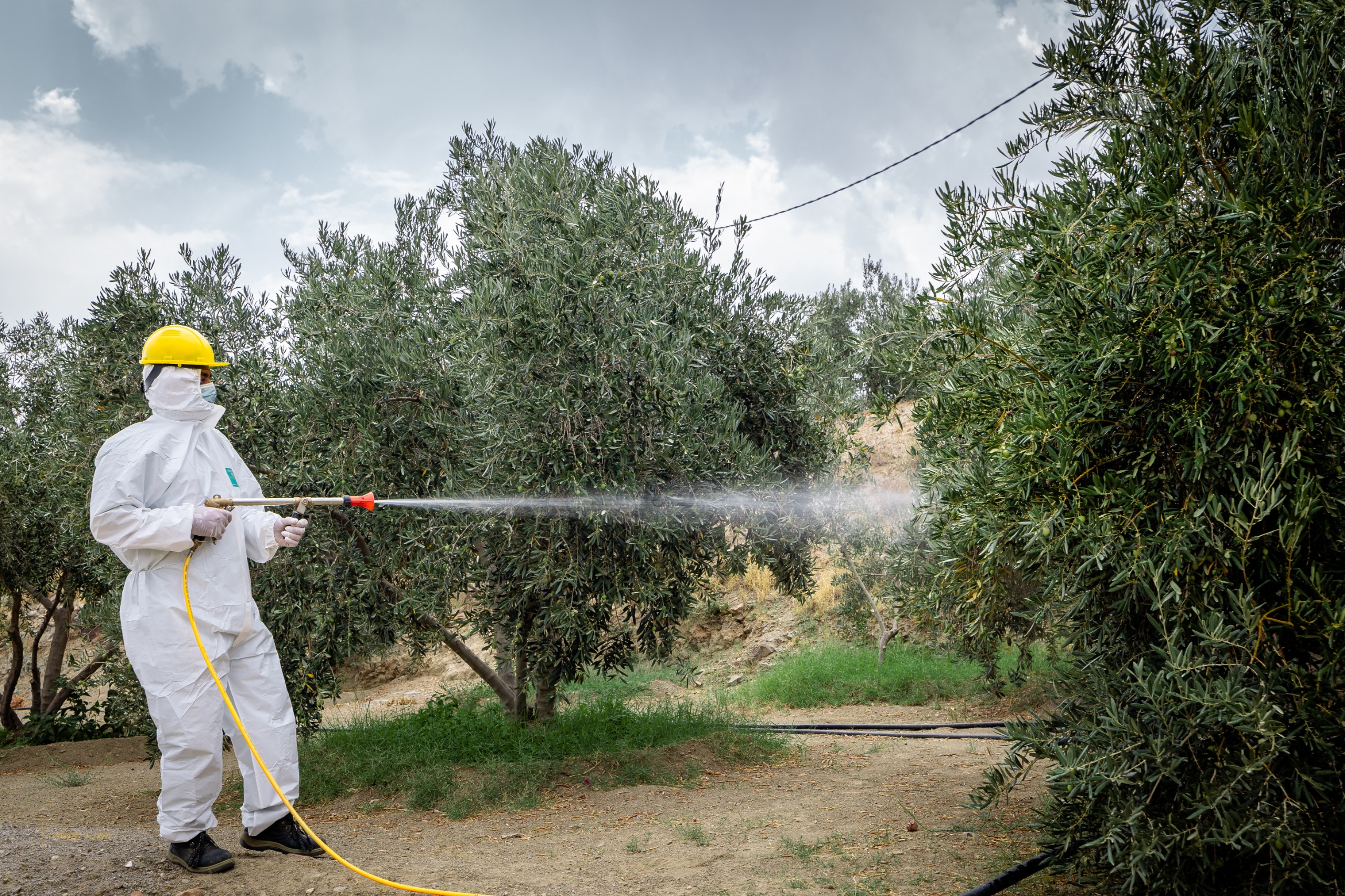 Saudi Arabia Launches Weqaa Campaign to Raise Awareness of Integrated Plant Pest Management